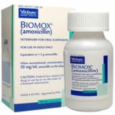 Amoxicillin (Biomox®) Drops 50mg/mL, 30mL